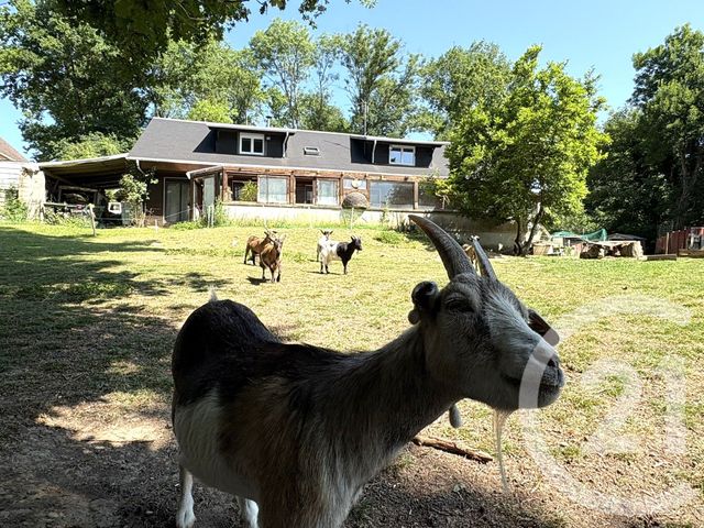 maison à vendre - 6 pièces - 158.45 m2 - POMMEUSE - 77 - ILE-DE-FRANCE - Century 21 A.S.M.